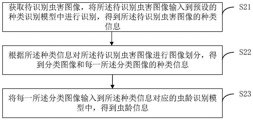 虫害图像识别方法、虫害监控方法、装置、设备及介质