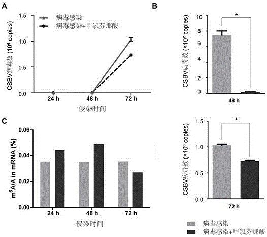 甲氯芬那酸在防治中蜂囊状幼虫病中的应用