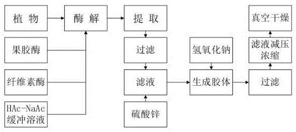 一种用于植物多糖的分离纯化方法
