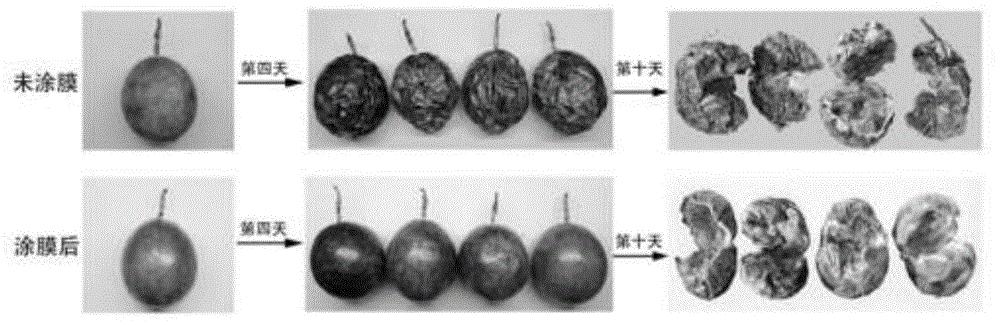 一种用于百香果的高分子智能膜层新材料及其制备方法和应用
