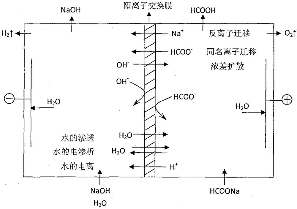甲酸钙的合成工艺