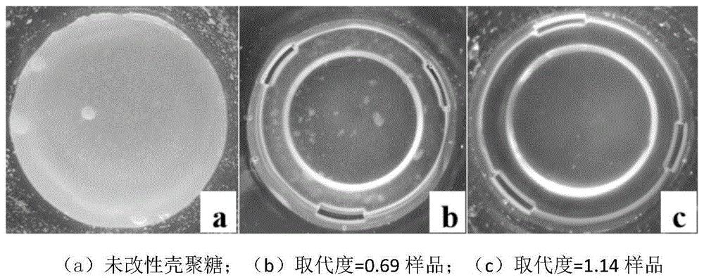 一种羧甲基壳聚糖固相反应制备方法